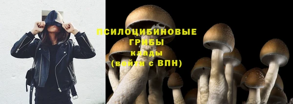 экстази Каменногорск