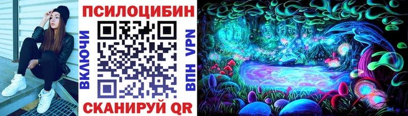маркетплейс как зайти  blacksprut ССЫЛКА  Ак-Довурак  где продают   Галлюциногенные грибы Psilocybe 